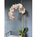 Orchidea artificiale con vaso